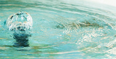 水へのアプローチ